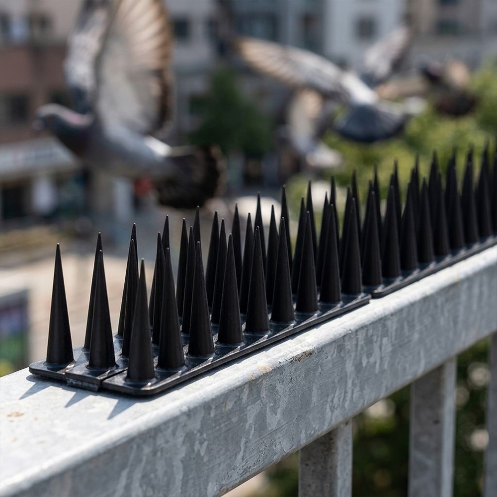 Bird Spike-image-25