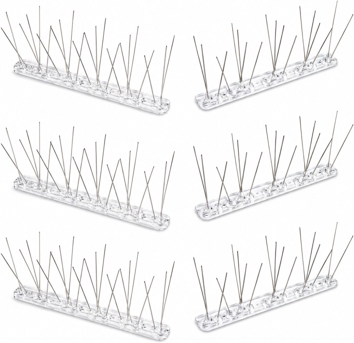 bhumija Bird Spike-picture-15
