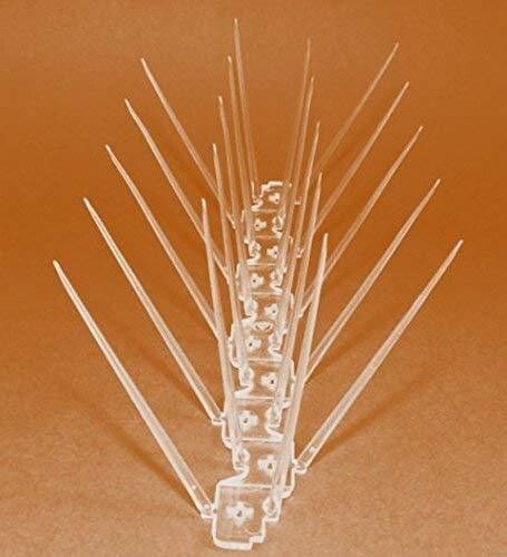 hoodwin Bird Spike-picture-16
