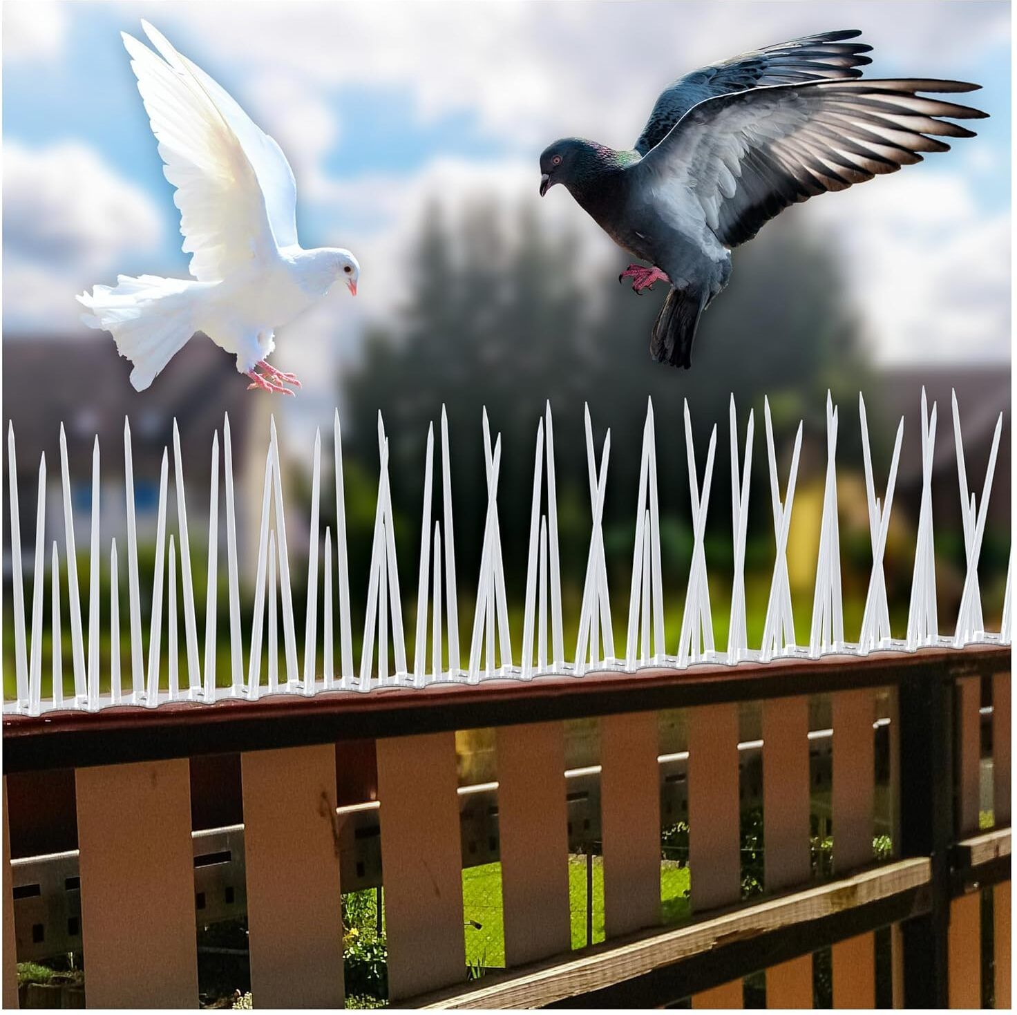 trendora Bird Spike-picture-0