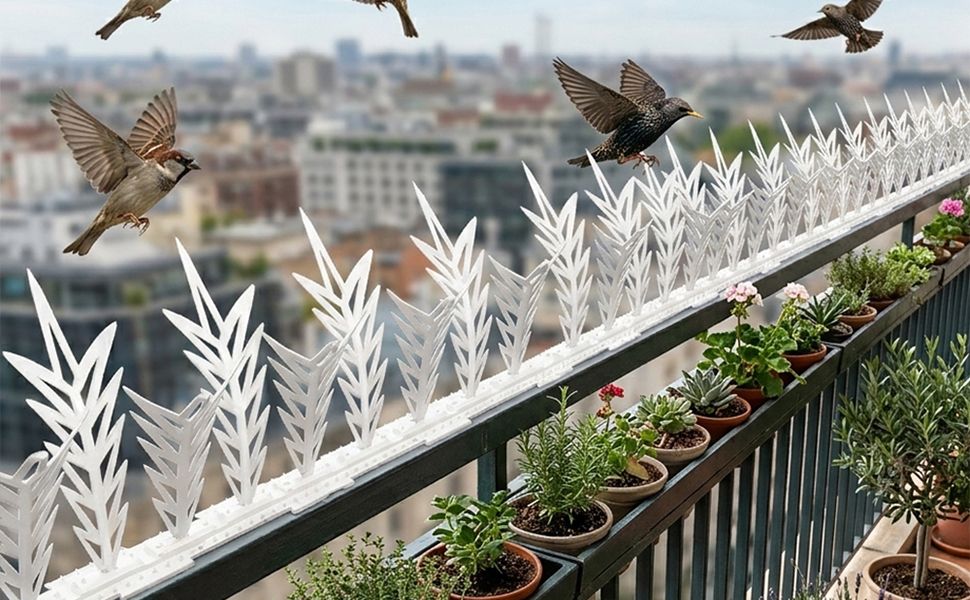 plastkart Bird Spike-picture-41