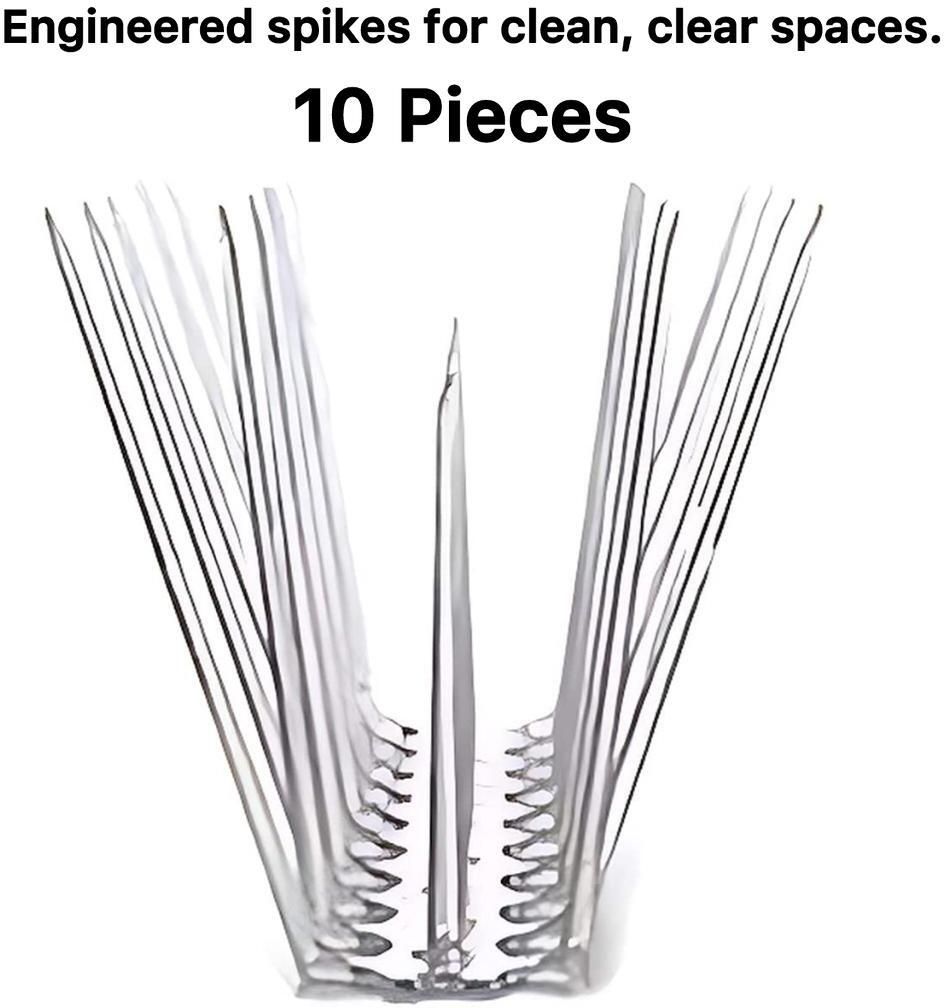pashchayate Bird Spike-picture-11