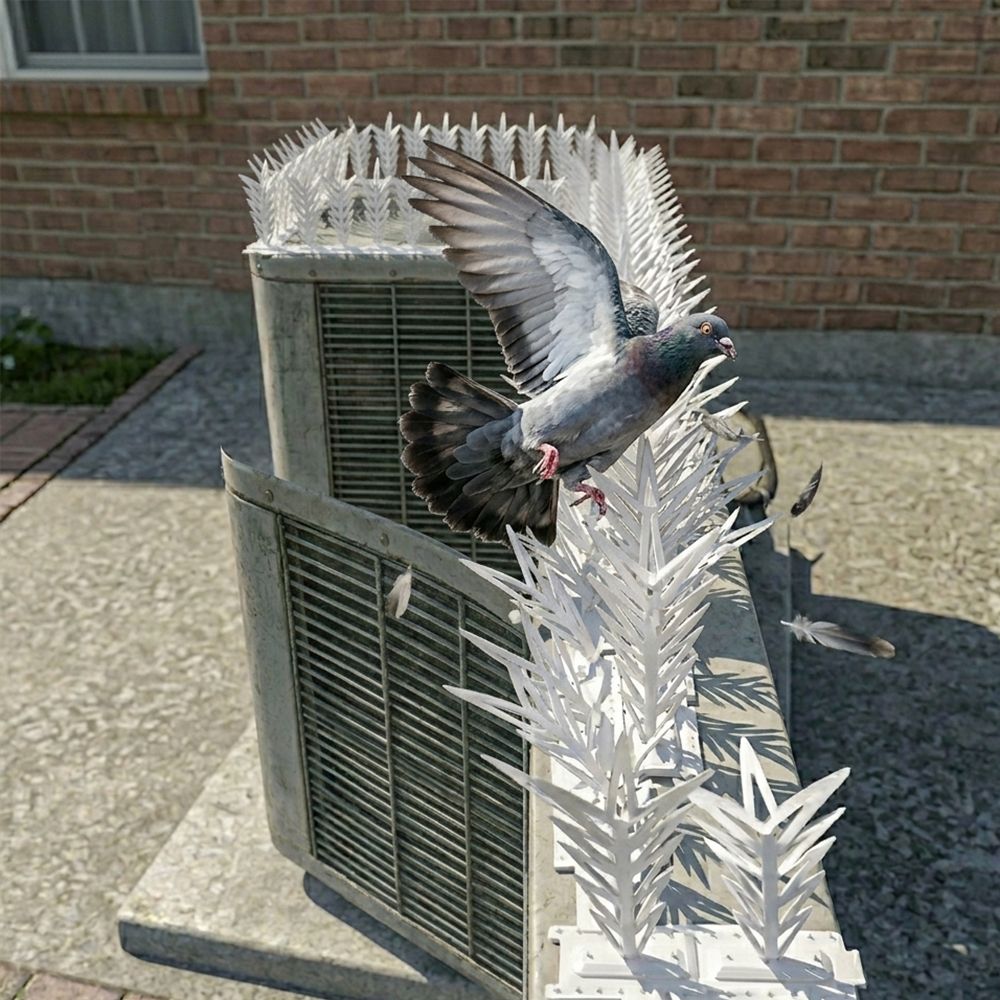 choibando Bird Spike-picture-15