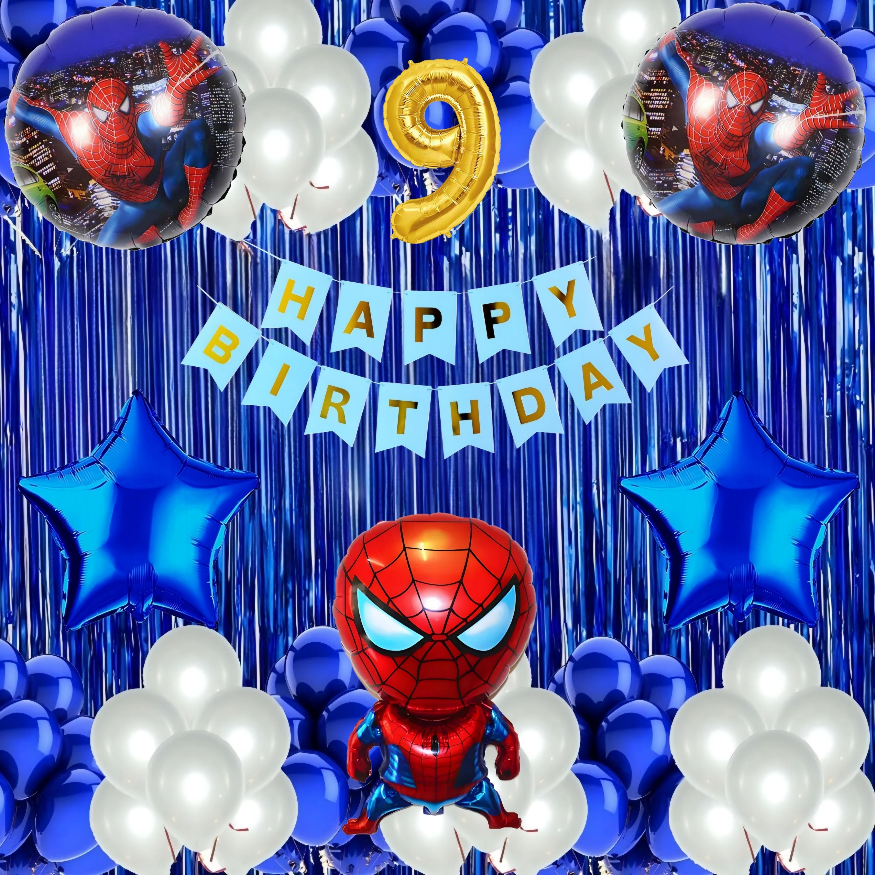 9th Birthday Spiderman Decor - Light Blue & Silver Premium Combo Kit-image-0