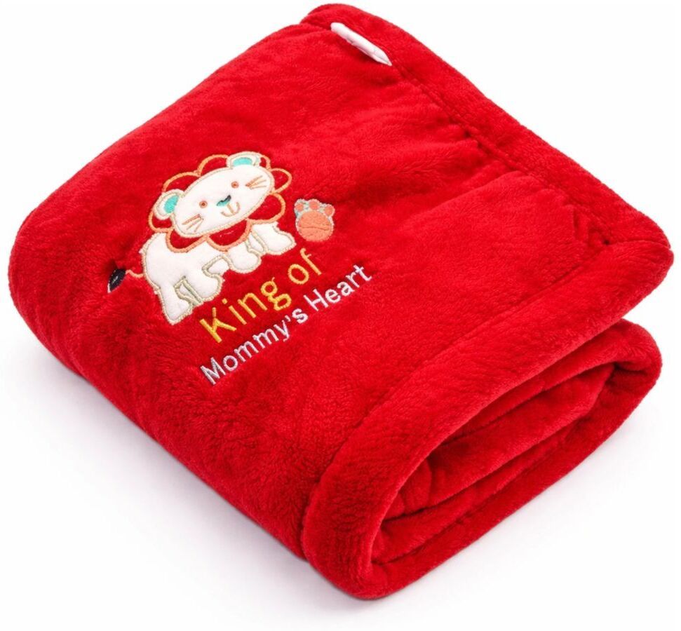 Embroidered Crib Crib Baby Blanket for Mild Winter-image-47