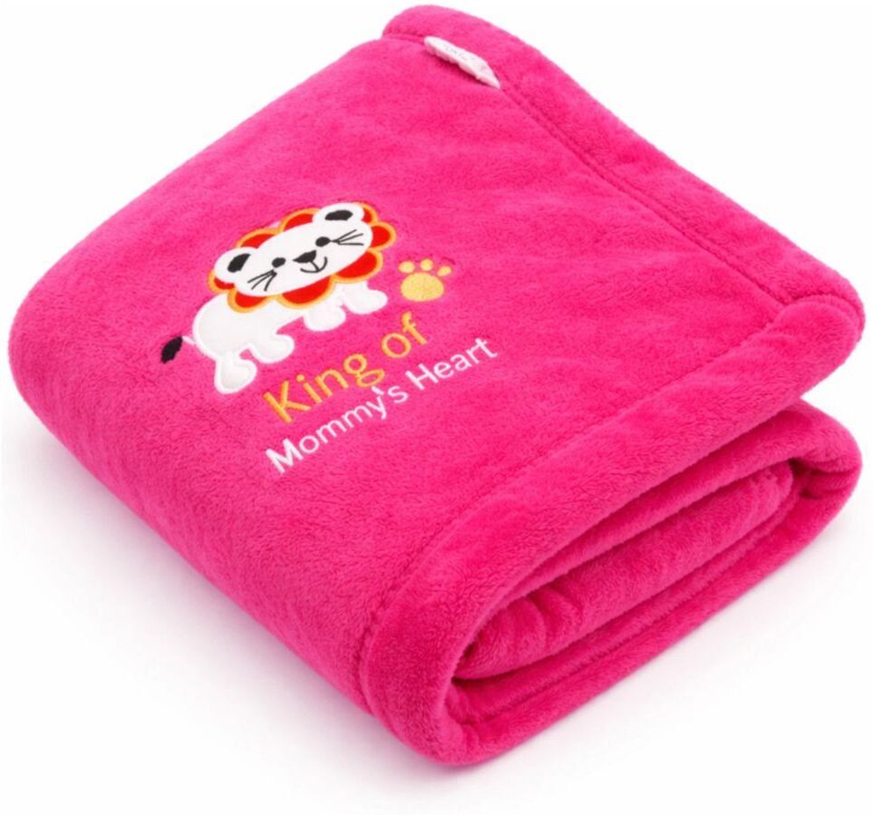 Embroidered Crib Crib Baby Blanket for Mild Winter-image-46