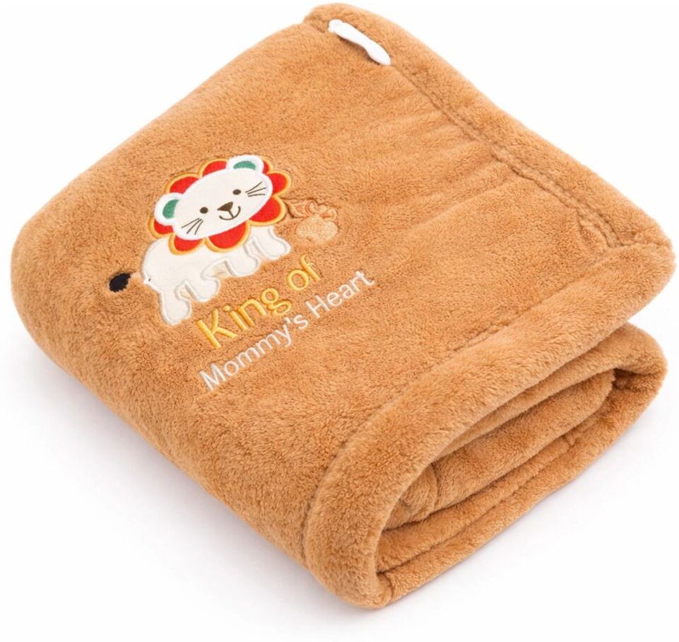 Embroidered Crib Crib Baby Blanket for Mild Winter-image-44