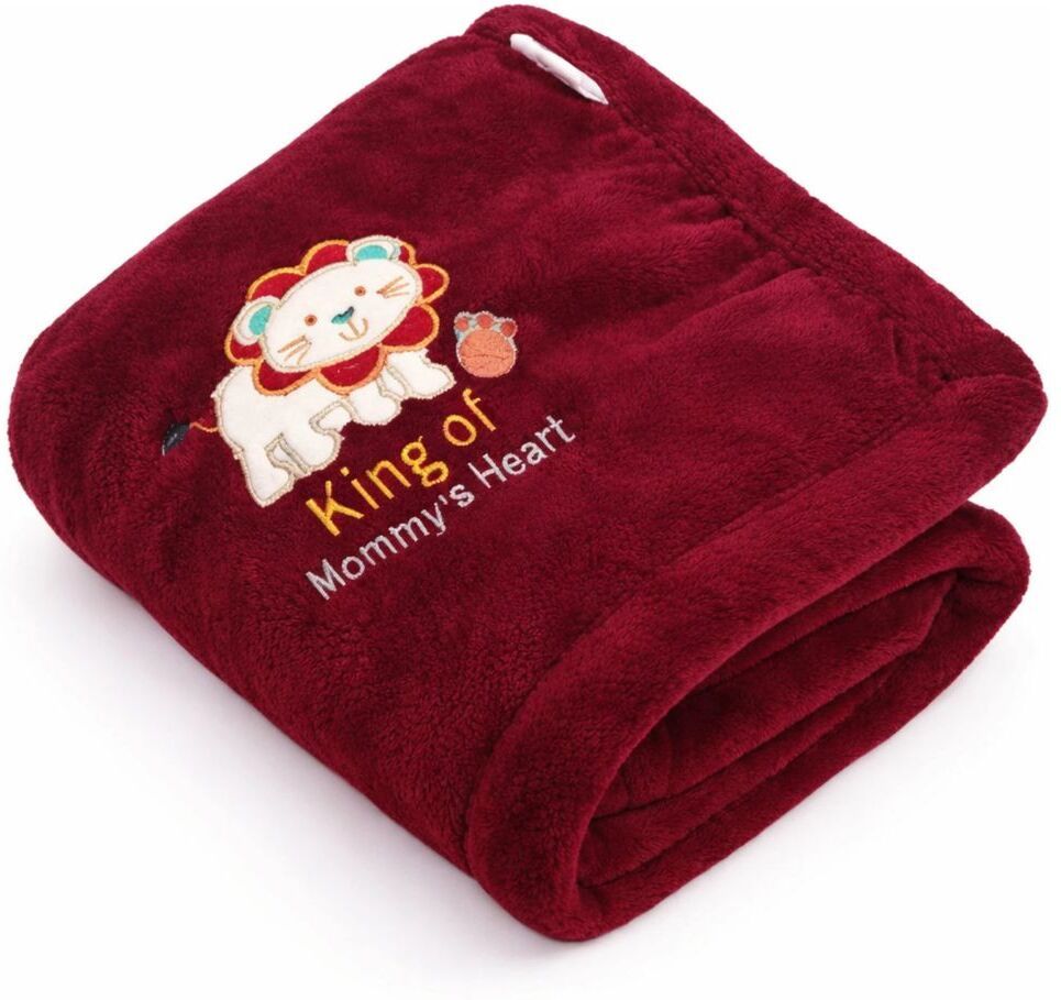 Embroidered Crib Crib Baby Blanket for Mild Winter-image-48