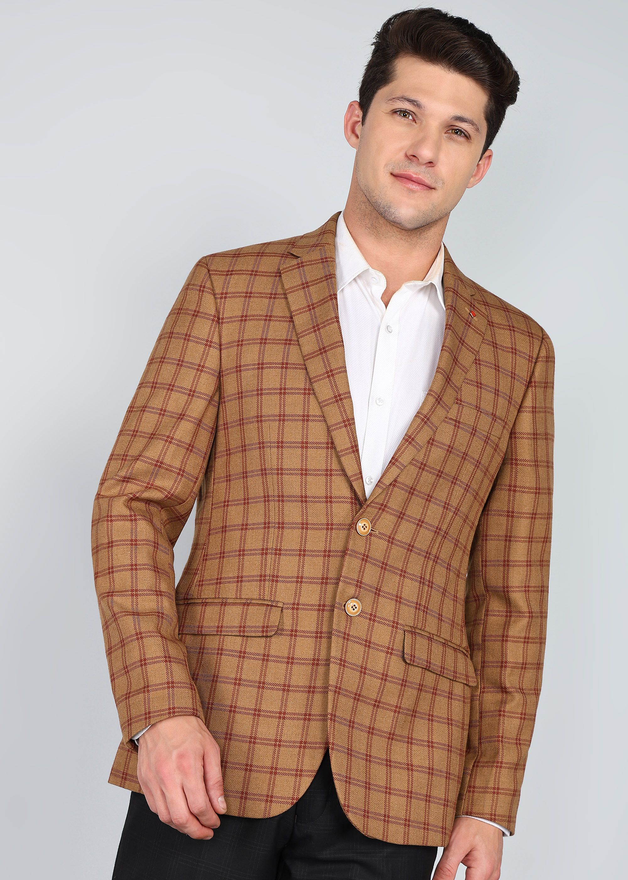 raymond Men Checkered Single Breasted Formal Blazer-picture-44