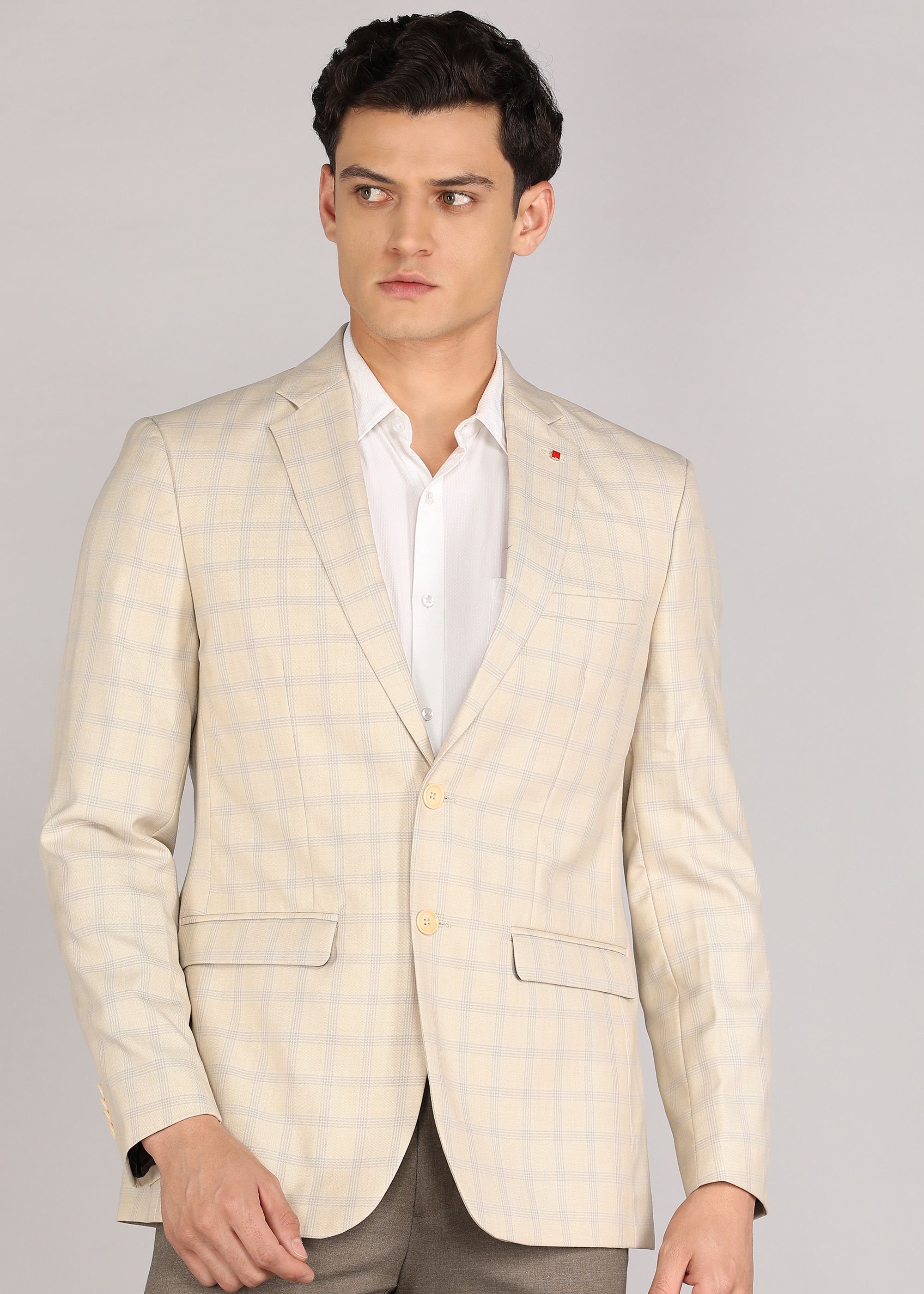 raymond Men Checkered Single Breasted Formal Blazer-picture-16