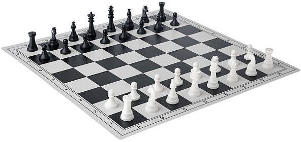 Ludo/Chess board Combo With Ludo coins and Chessmen coins indoor board games set 30 cm Chess Board