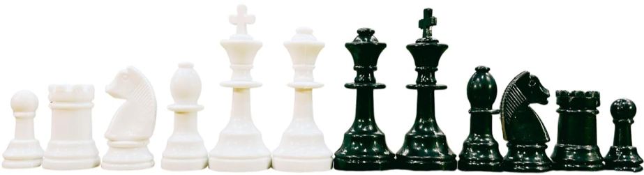 anmolg Chess COIN Set of 32 Solid Plastic Pieces King-Size Coins and 2 Extra Queens 11 cm Chess Board-picture-37