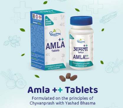 dhootapapeshwar Amla Plus 60 Tablets Pack of 2 Tablets image 1