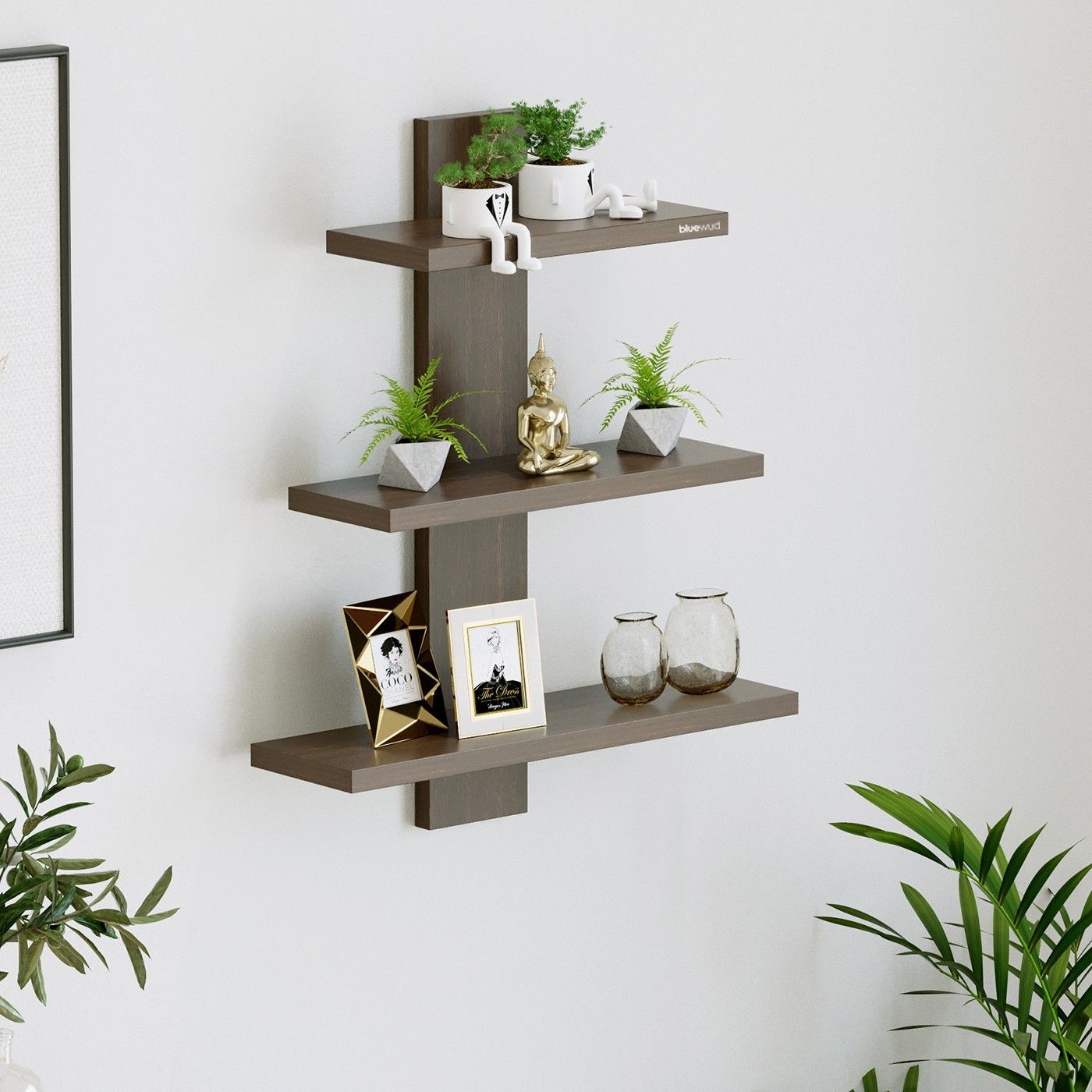 bluewud Phelix Engineered Wood Open Book Shelf-picture-22