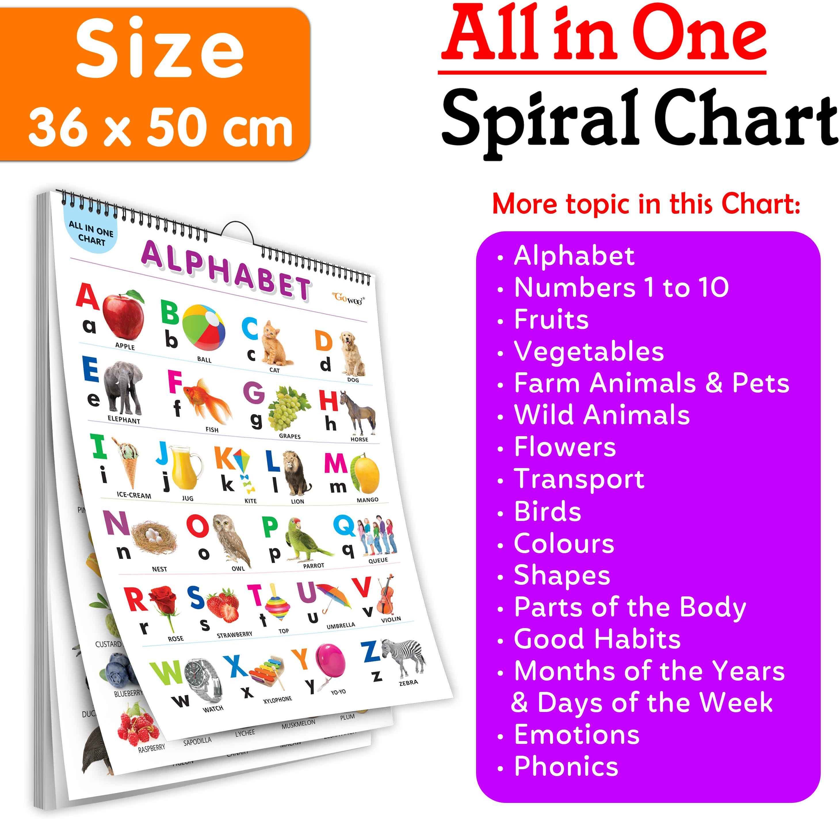 Chart Book Collections For Early Learning :ALL IN ONE SPIRAL CHART ENGLISH-HINDI-image-34