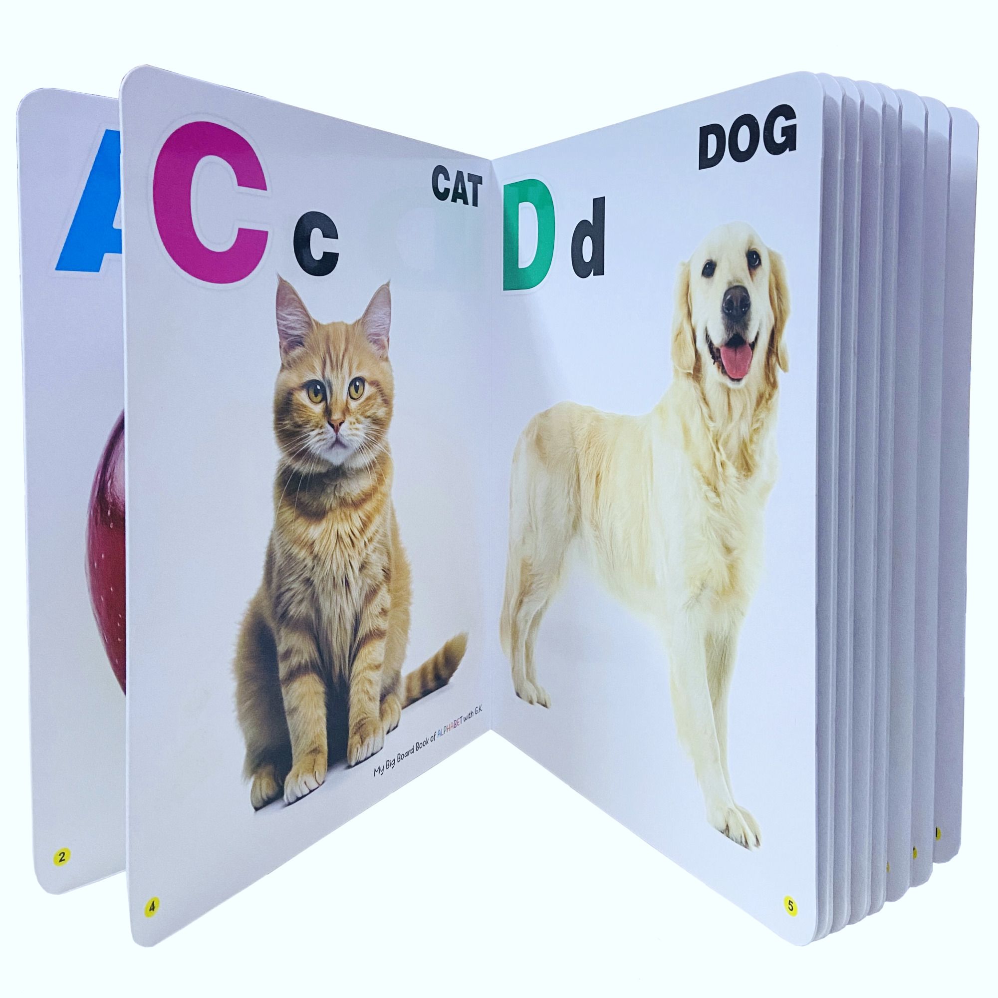 Learning Board Book for Kids Book Of Alphabet Book ABCD Single Picture(32 Pages)