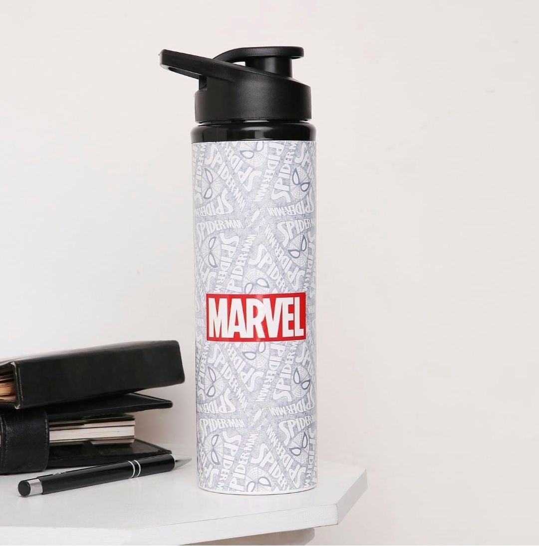 msshawvariety Flask200 750 ml Stainless Steel Flask-picture-37