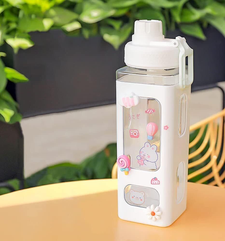 Kawaii Water Bottle with Straw and Sticker 700 ml Water Bottle