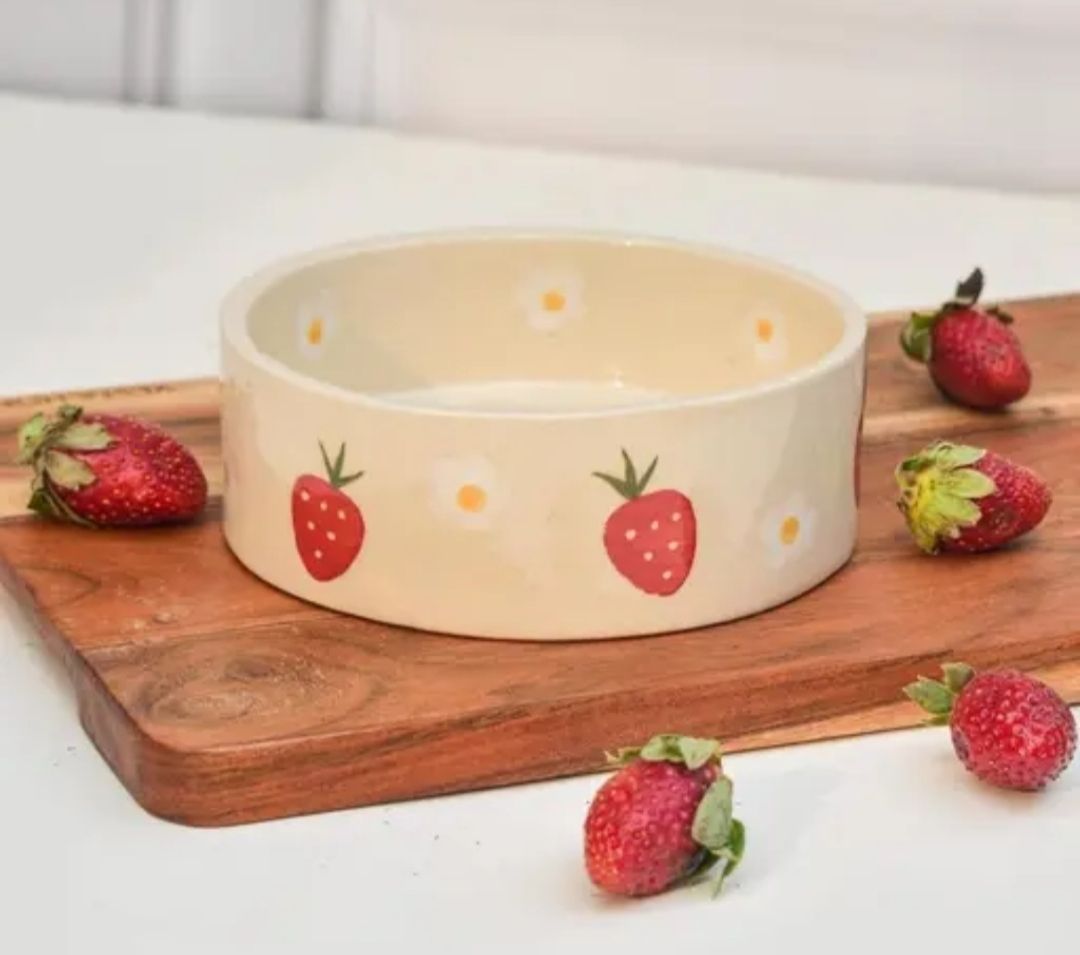 the indian home Ceramic Salad Bowl Ceramic Strawberry Salad And Multi Purpose Bowl-picture-17