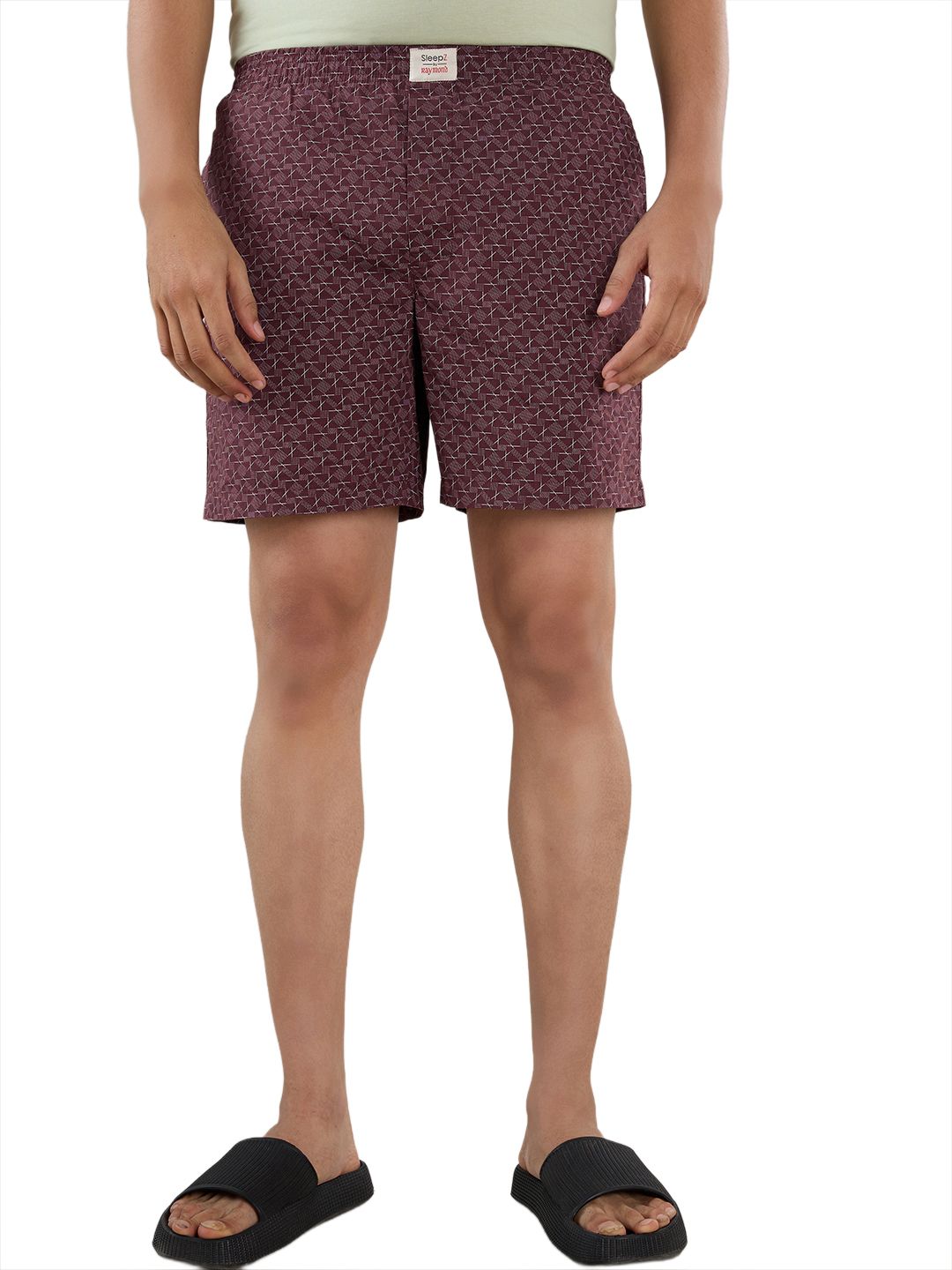 sleepz by raymond Printed Men Boxer-picture-13