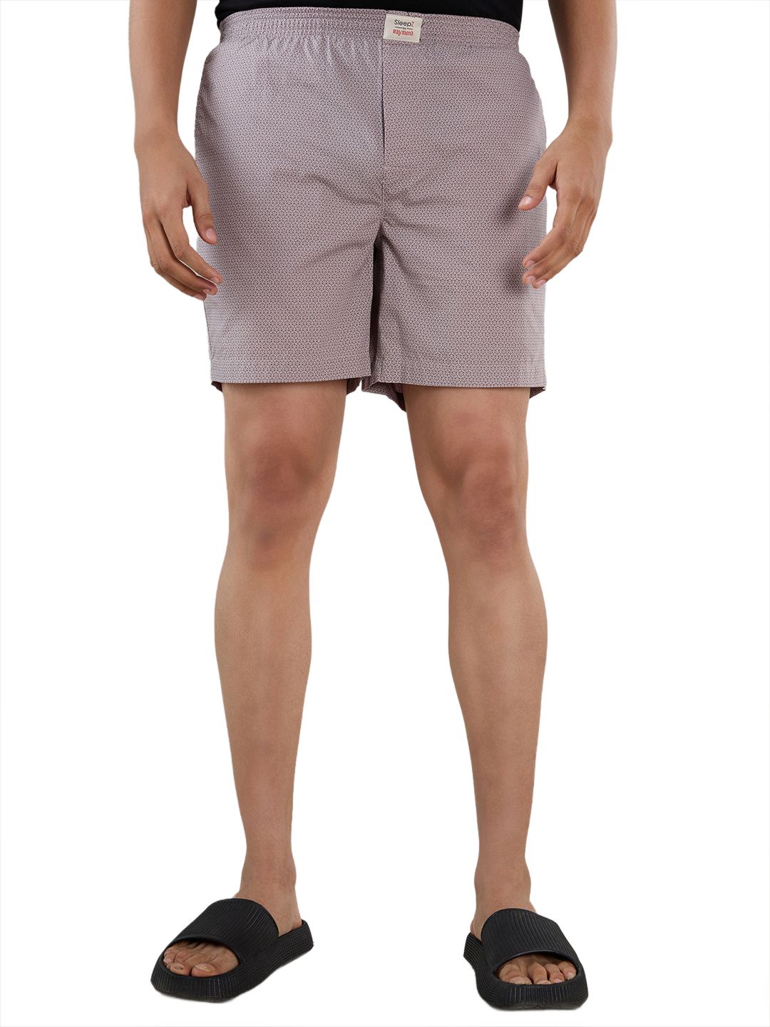 sleepz by raymond Printed Men Boxer-picture-22