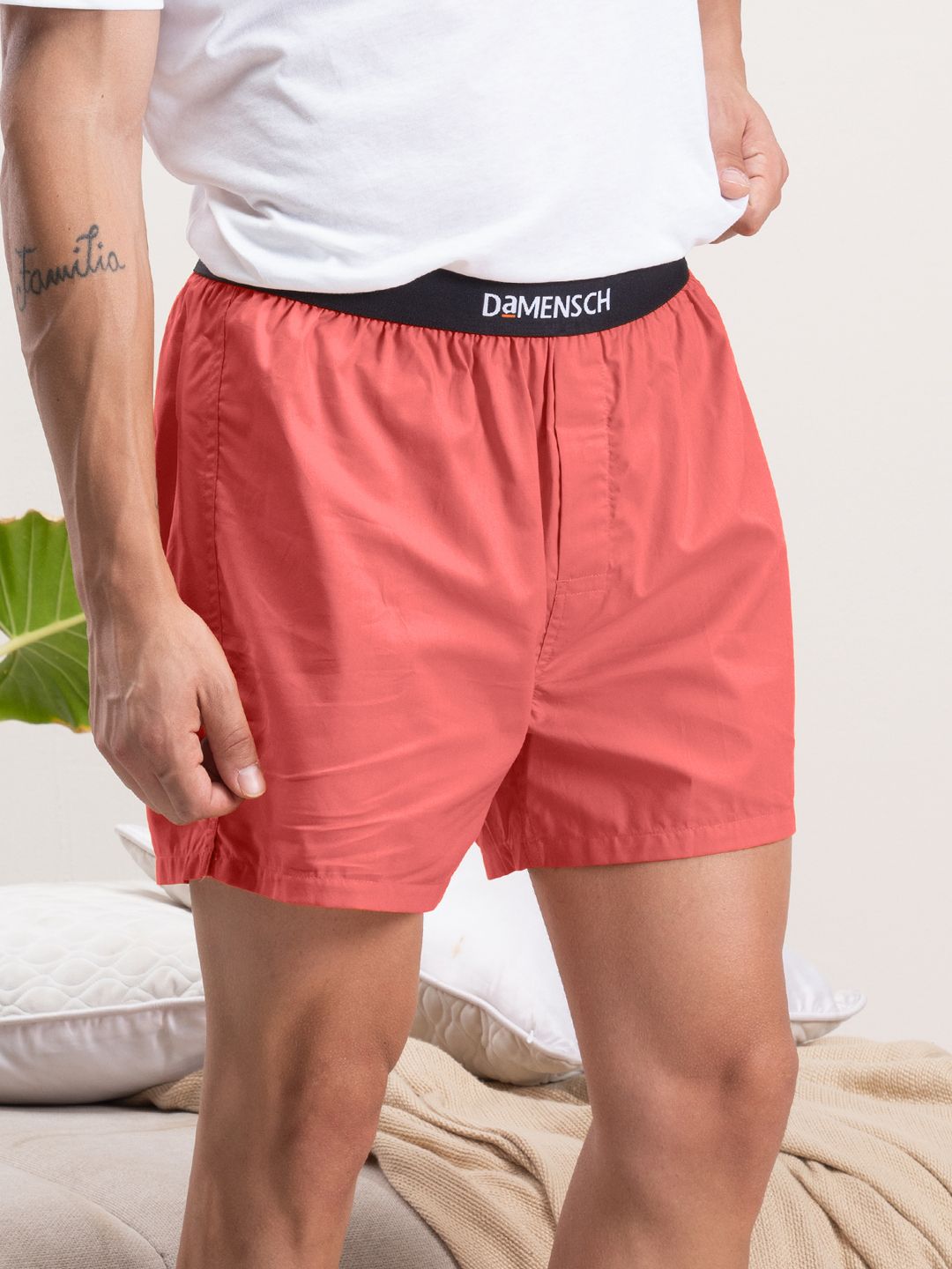 damensch Solid Men Boxer-picture-22