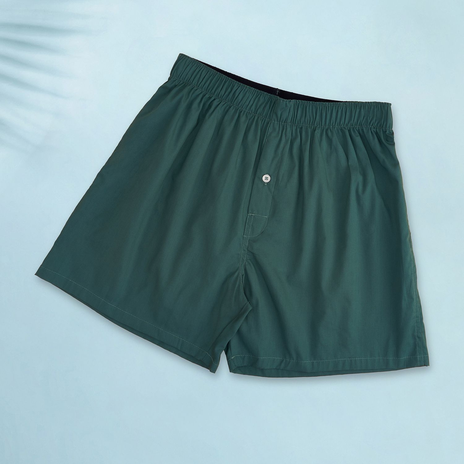 ajile by pantaloons Solid Men Boxer-picture-10