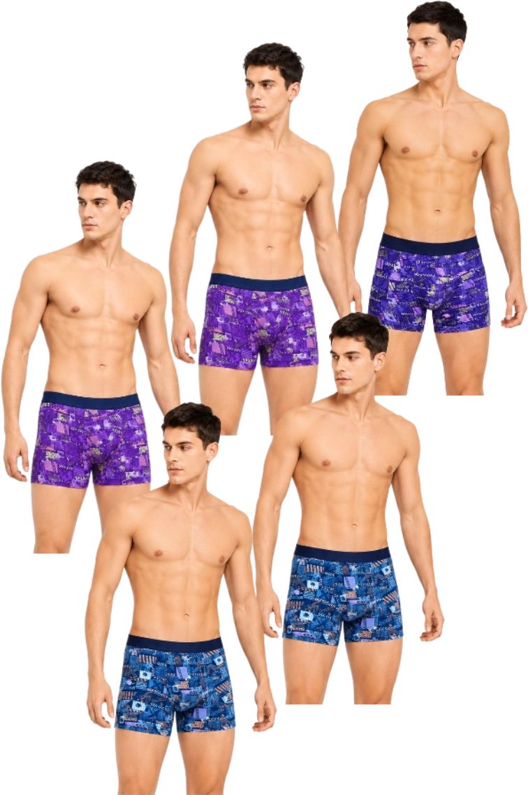 insanitee Pack of 5 Printed Men Brief-picture-10