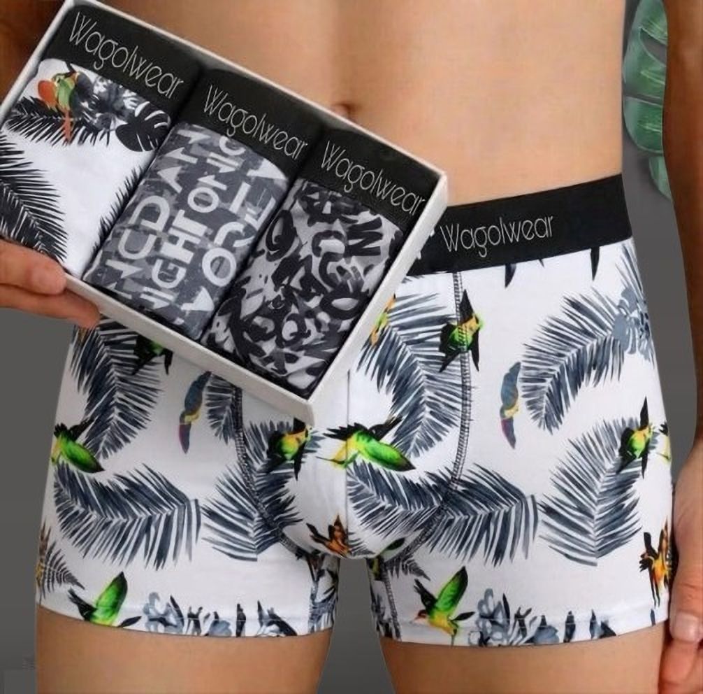 wagolwear Pack of 3 Camouflage, Printed, Geometric Print, Colorblock Men Trunk-picture-21