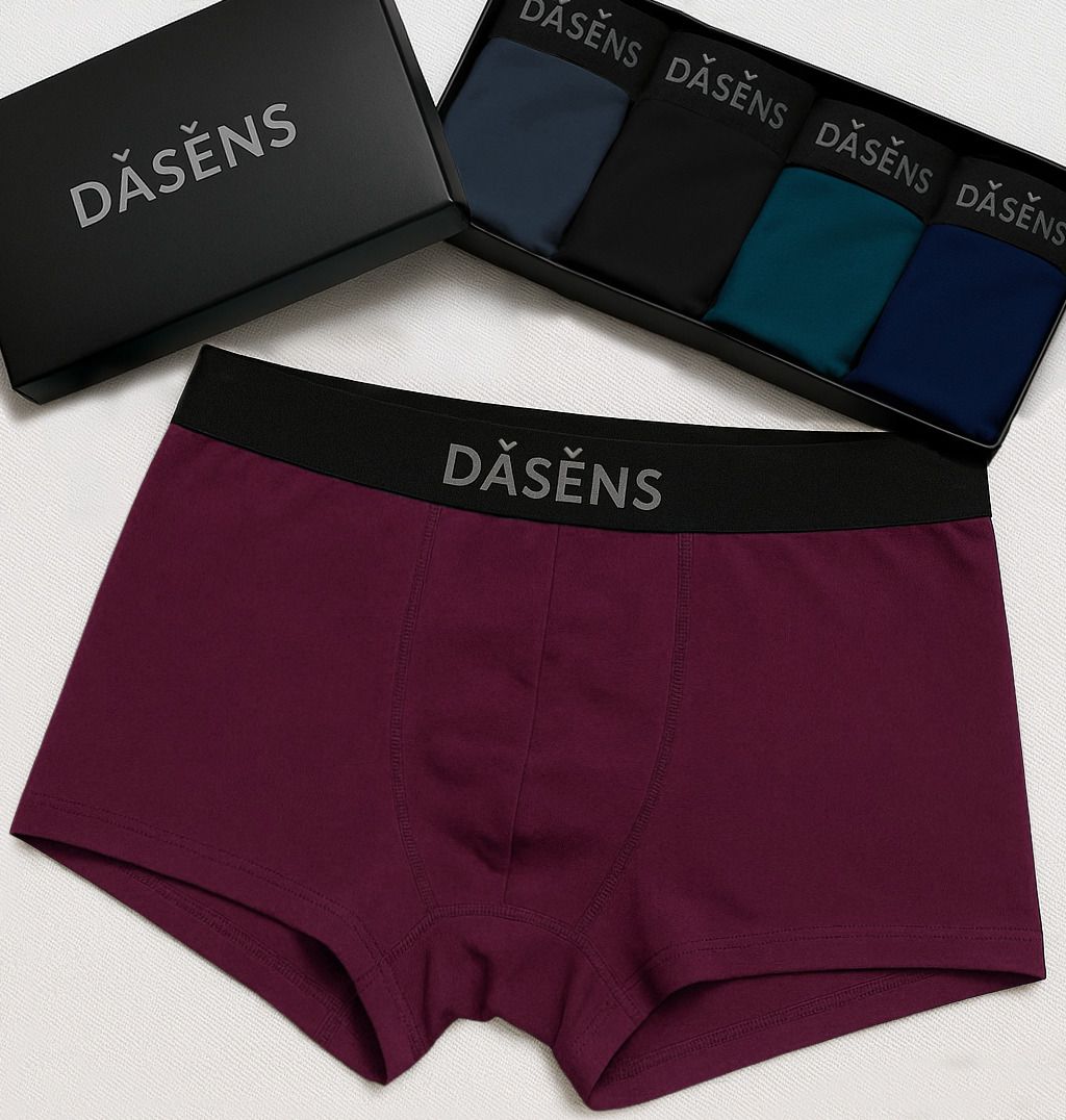 dasens Pack of 4 Solid Men Brief-picture-16