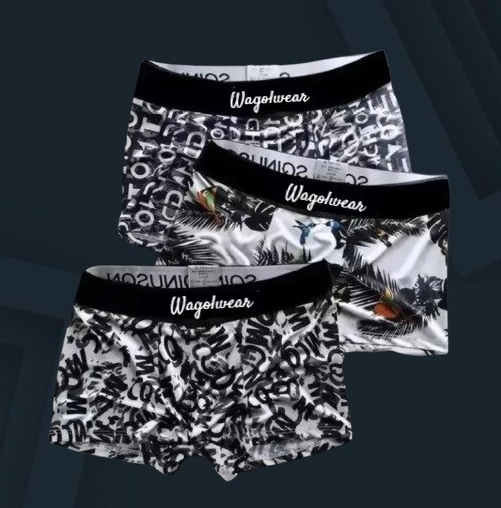 wagolwear Floral Print, Colorblock, Graphic Print Men Trunk-picture-31