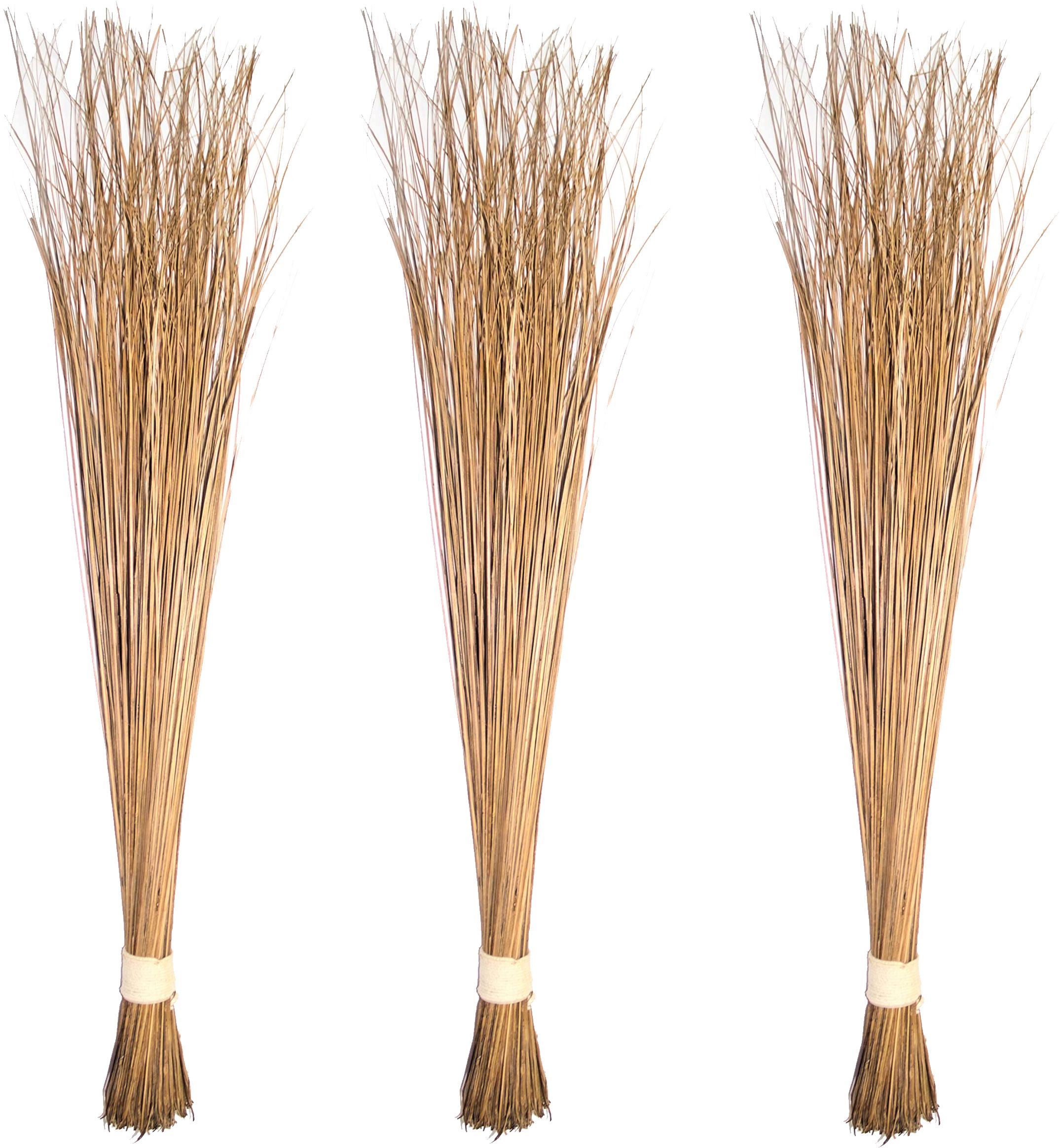 Natural Coconut Leaf Grass Broom Stick for Dry/Wet Floor, Bathroom Cleaning Coconut Fiber Wet and Dry Broom-image-38
