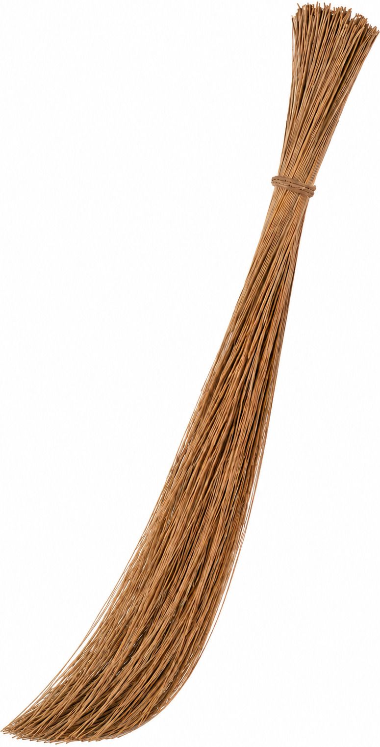 pinzo Coconut Fiber Wet and Dry Broom-picture-18