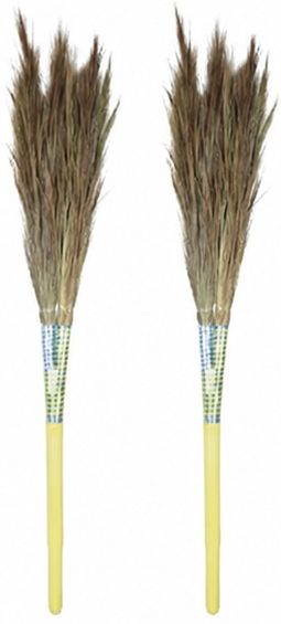 Grass Dry Broom-image-15