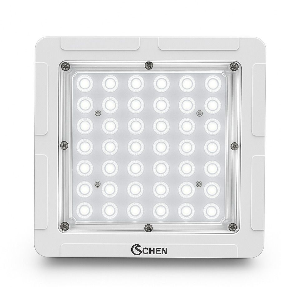 schein 40 W Basic Standard B22, E26 LED Bulb-picture-19