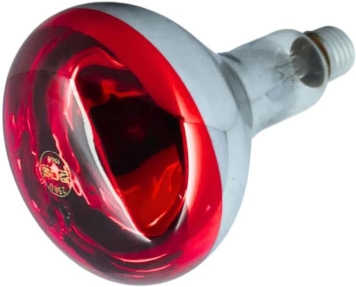 genex 150 W Basic Round E27 Incandescent Bulb-picture-20