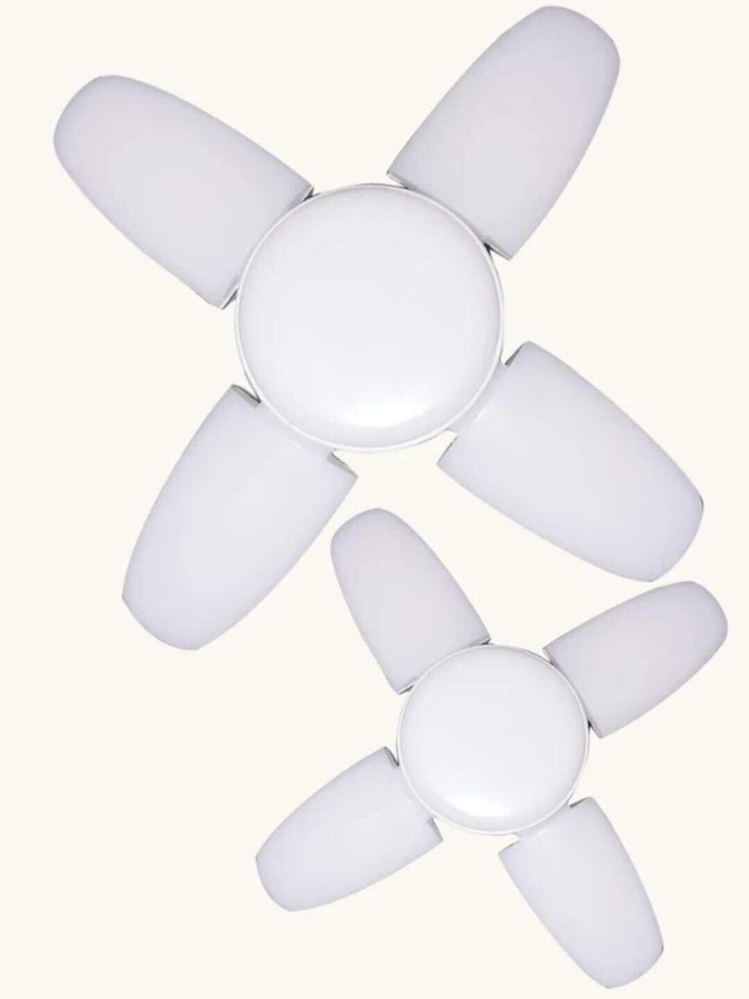 everglow 25 W Basic U-Tube B22 LED Bulb-picture-22