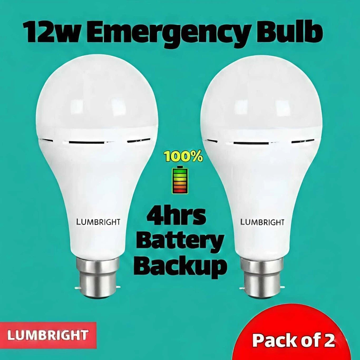lumbright 12 W Inverter, Basic Standard B22 LED Bulb-picture-23