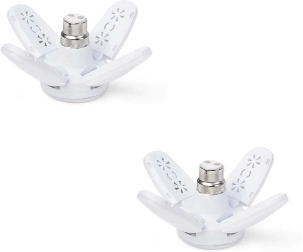 everglow 25 W Basic U-Tube B22 LED Bulb-picture-43