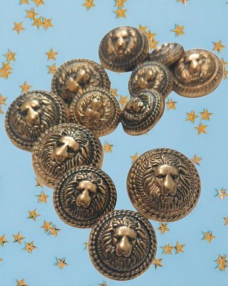 spongy Lion Design Metal Buttons For Sherwani I Coat | Blezer (6 Big + 6 Small) Metal Buttons-picture-19