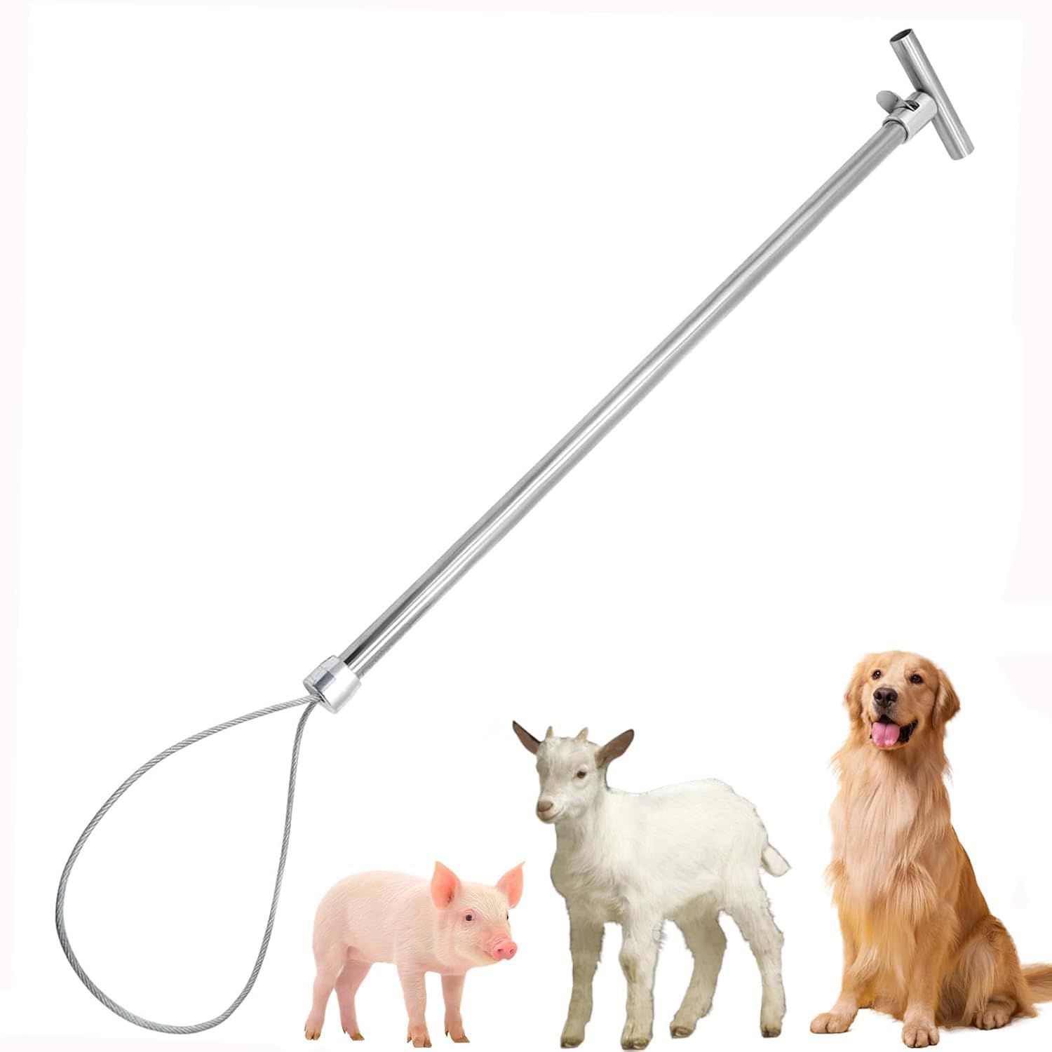 cj farms and agritech Stainless Steel Pig Holder Pig Swine Catcher Cage Seed Catcher-picture-26