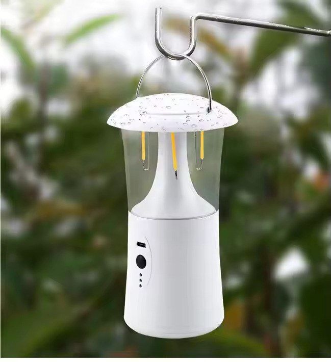 2403 CAMPING LIGHT Cam