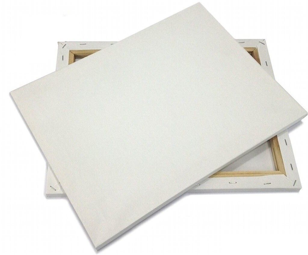 12" x 18" Cotton Medium Grain Pre Stretched Canvas (Set of 1)-image-32