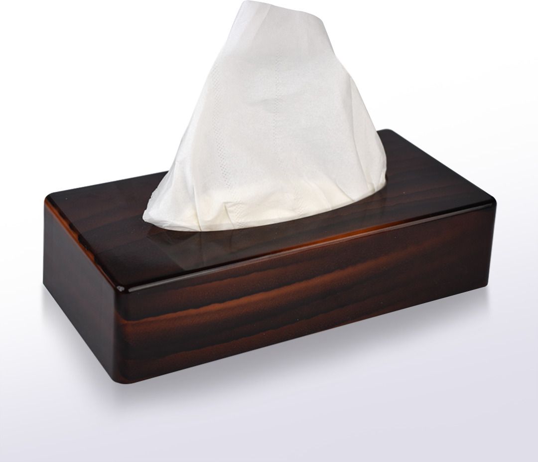 Tissue Dispenser with Including 100 Pulls of Tissue Vehicle Tissue Dispenser