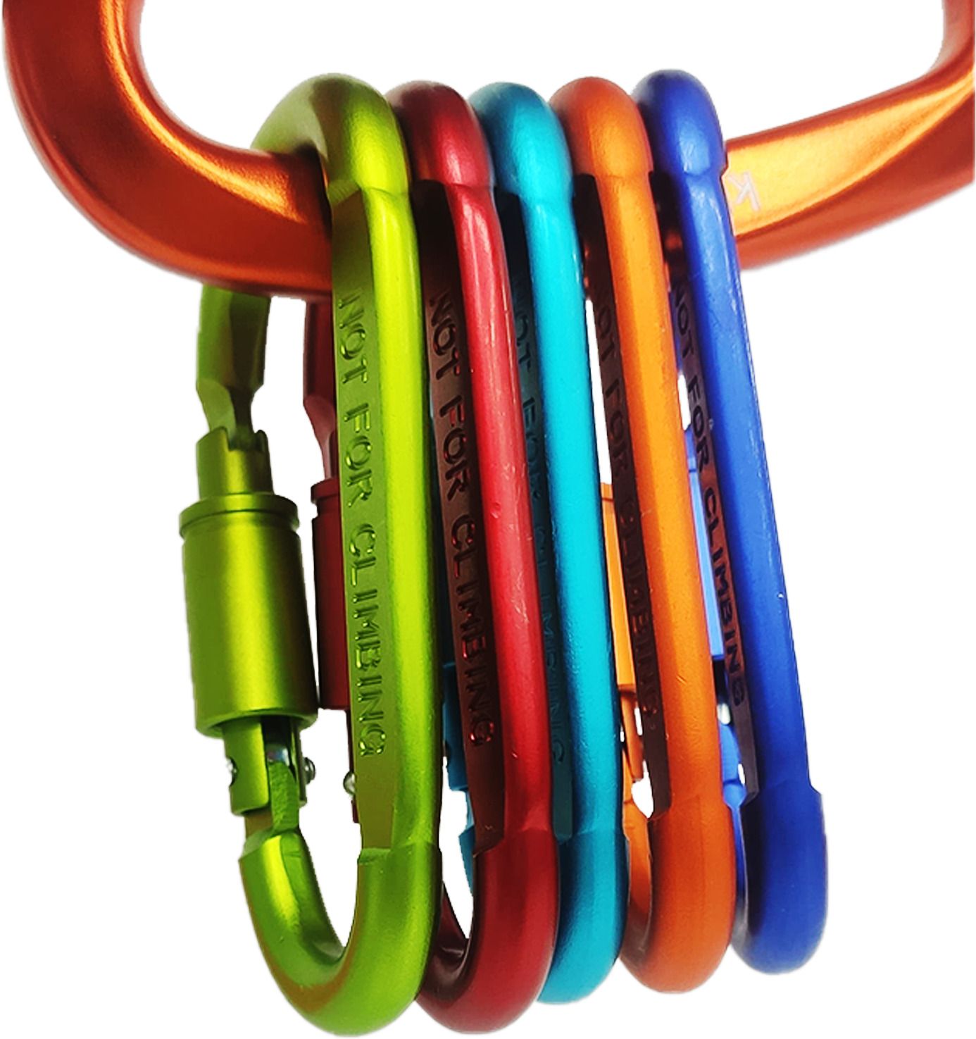 gokyo Kalimpong Carabiner - with Lock ( Pack of 10 ) Locking Carabiner-picture-15