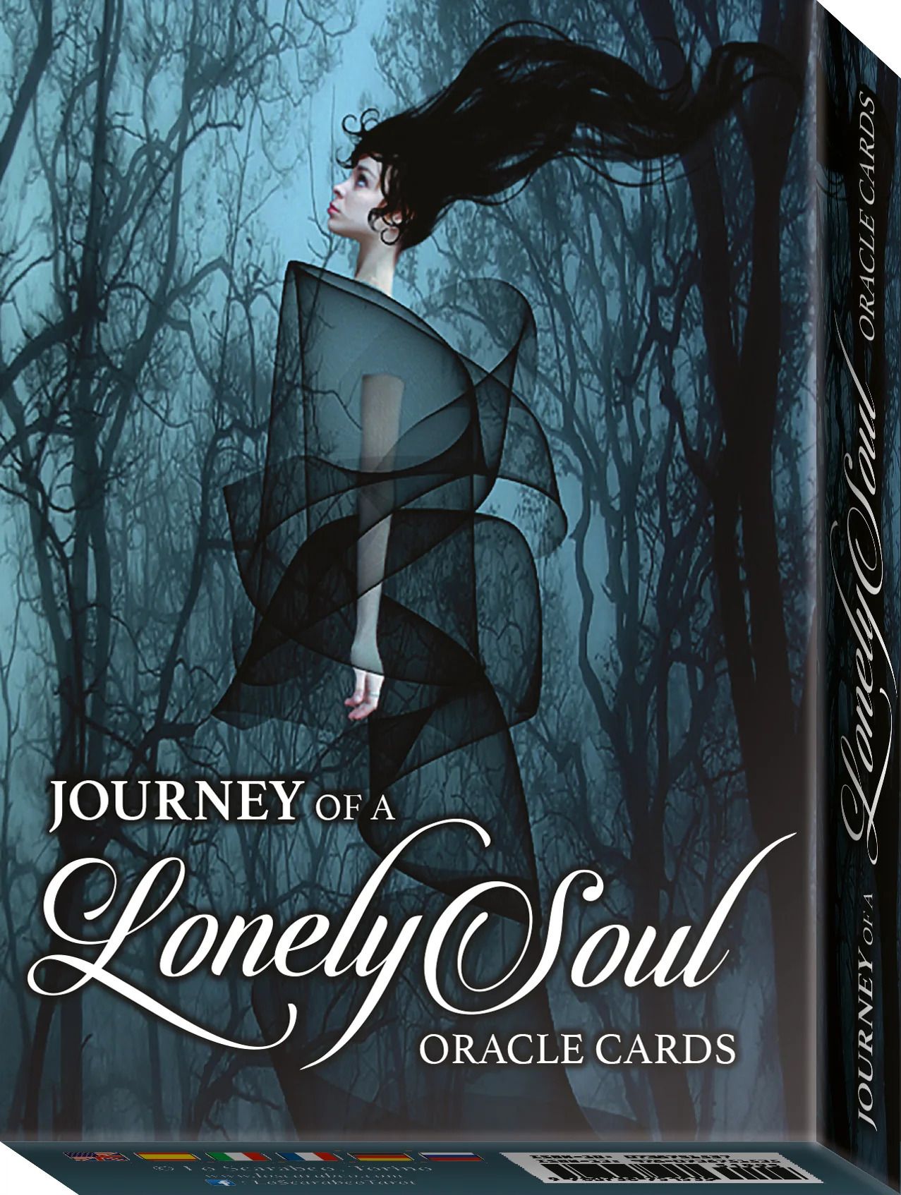 scheeno Journey of a Lonely Soul Oracle Deck | Shadow Work Cards | No Guidebook-picture-31