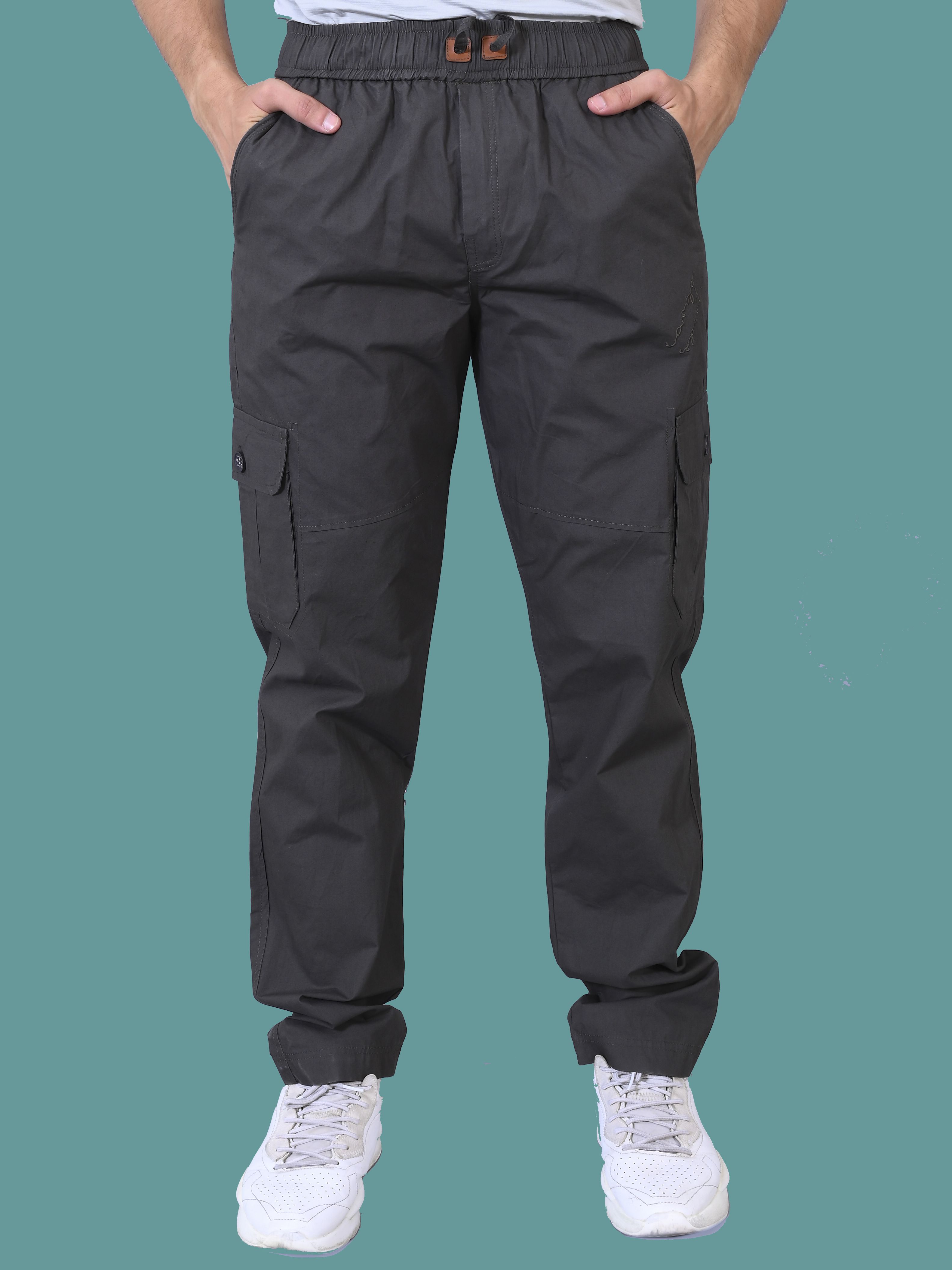 cargo sports Men Cargos-picture-19