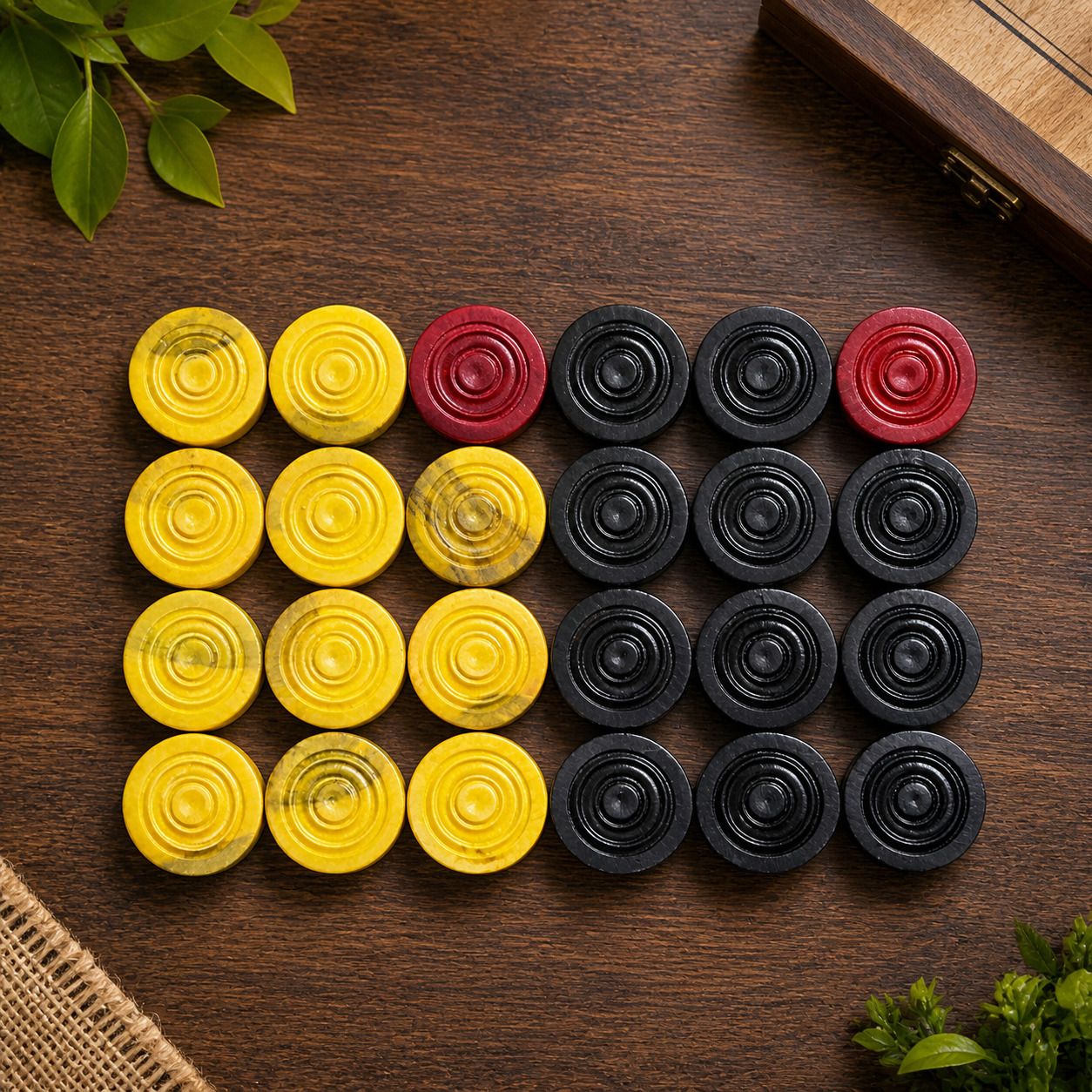 Affordable Carrom Coins Set 24 pcs – Best for Daily Play Carrom Pawns-image-23
