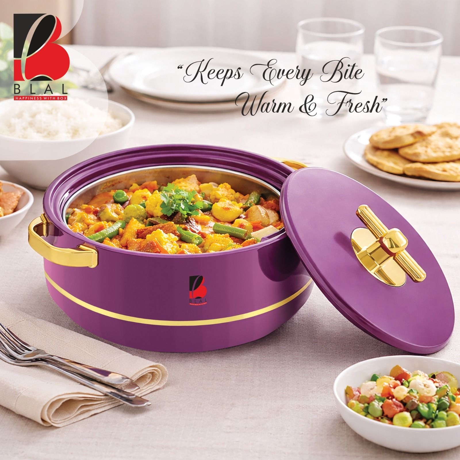 Deluxe 3000 Plastic Inner Stainless Steel Casserole, Hot Pot Thermoware Casserole-image-47