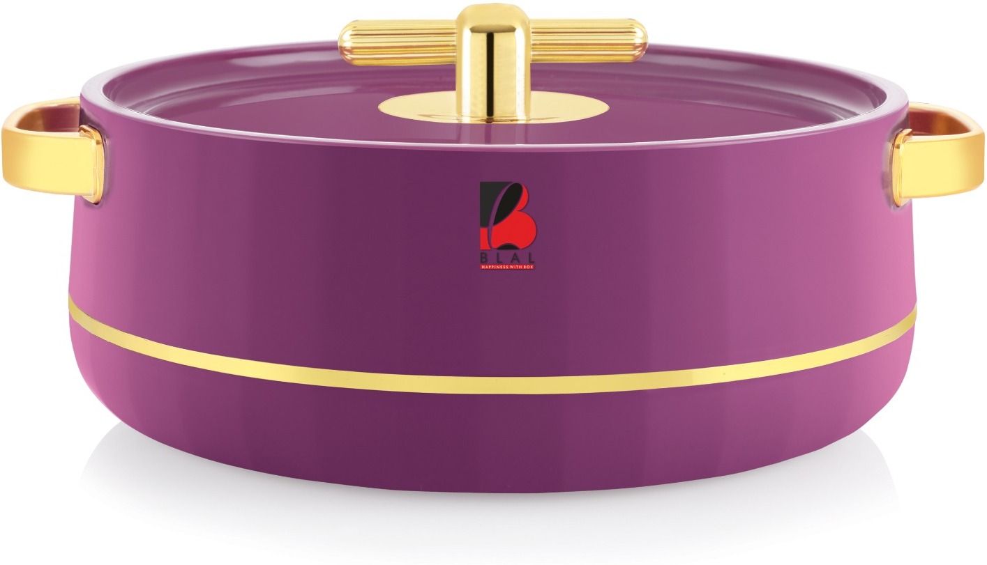 Deluxe 3000 Plastic Inner Stainless Steel Casserole, Hot Pot Thermoware Casserole-image-46
